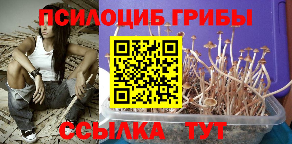 Галлюциногенные грибы прущие грибы  Вход с VPN  Великий Устюг 