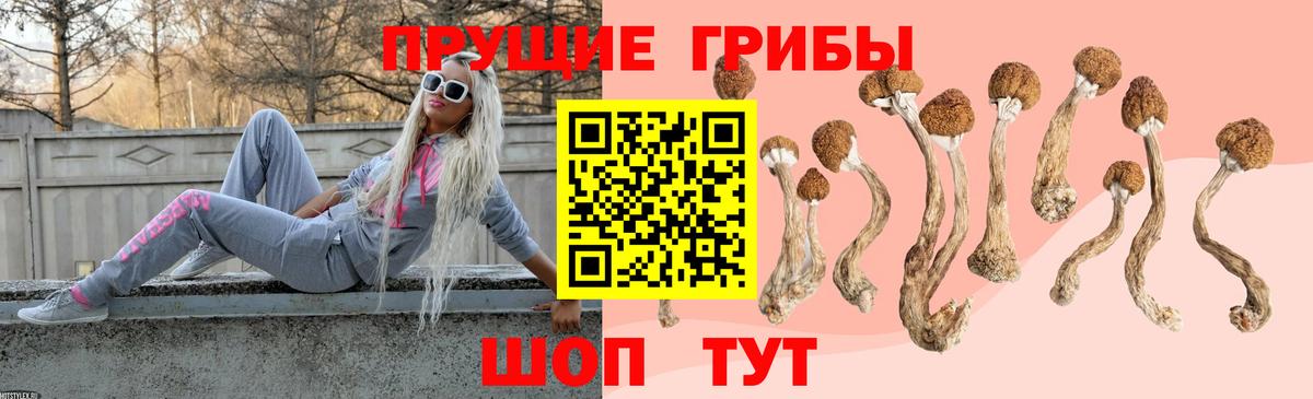 Галлюциногенные грибы мицелий Великий Устюг